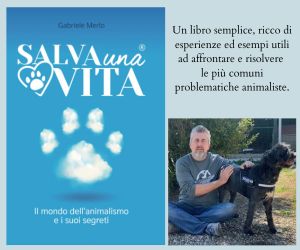 Salva una vita